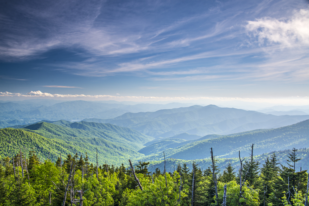 view from clingman's dome