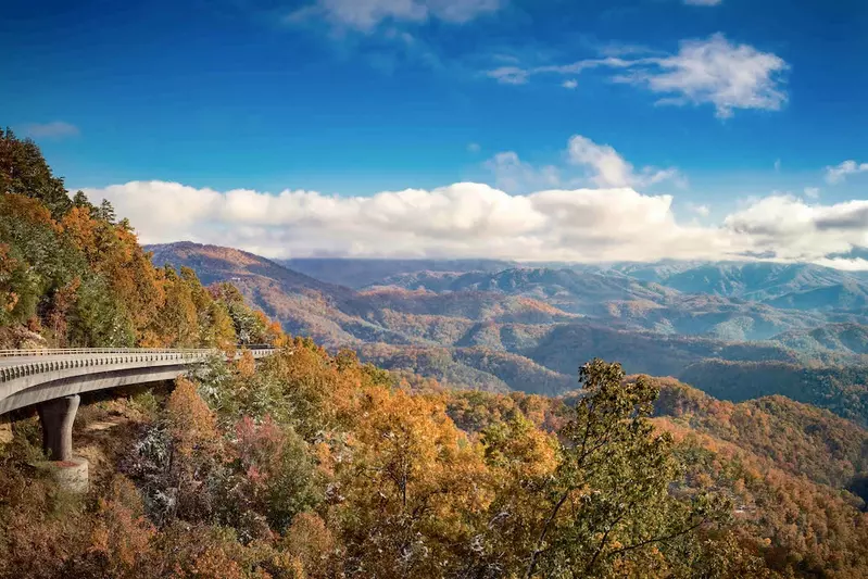 foothills parkway in the fall