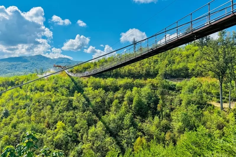 Gatlinburg SkyBridge