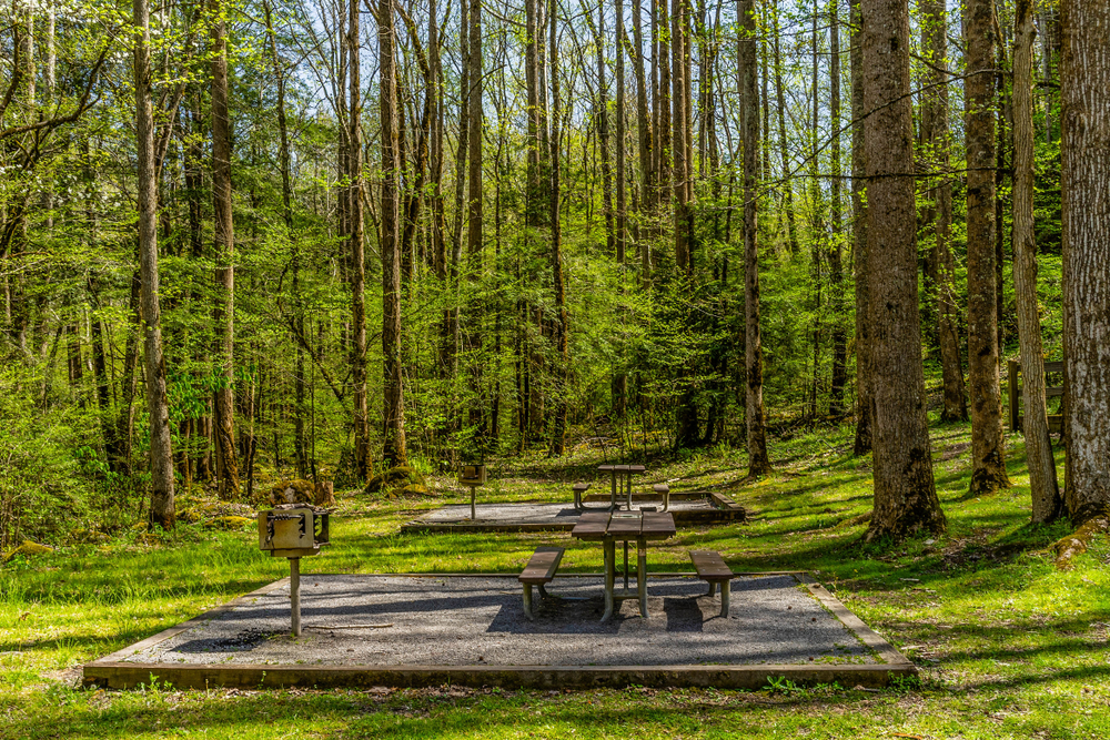 Porters Creek picnic tables
