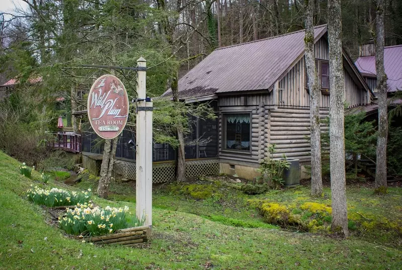 The Wild Plum Tea Room
