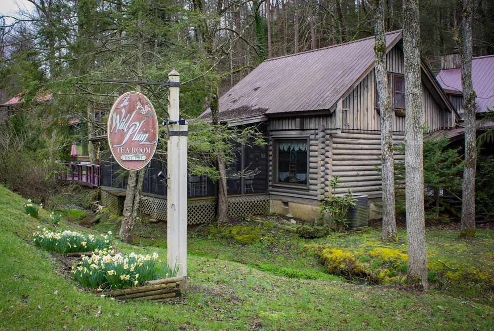 The Wild Plum Tea Room