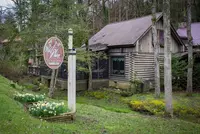 The Wild Plum Tea Room