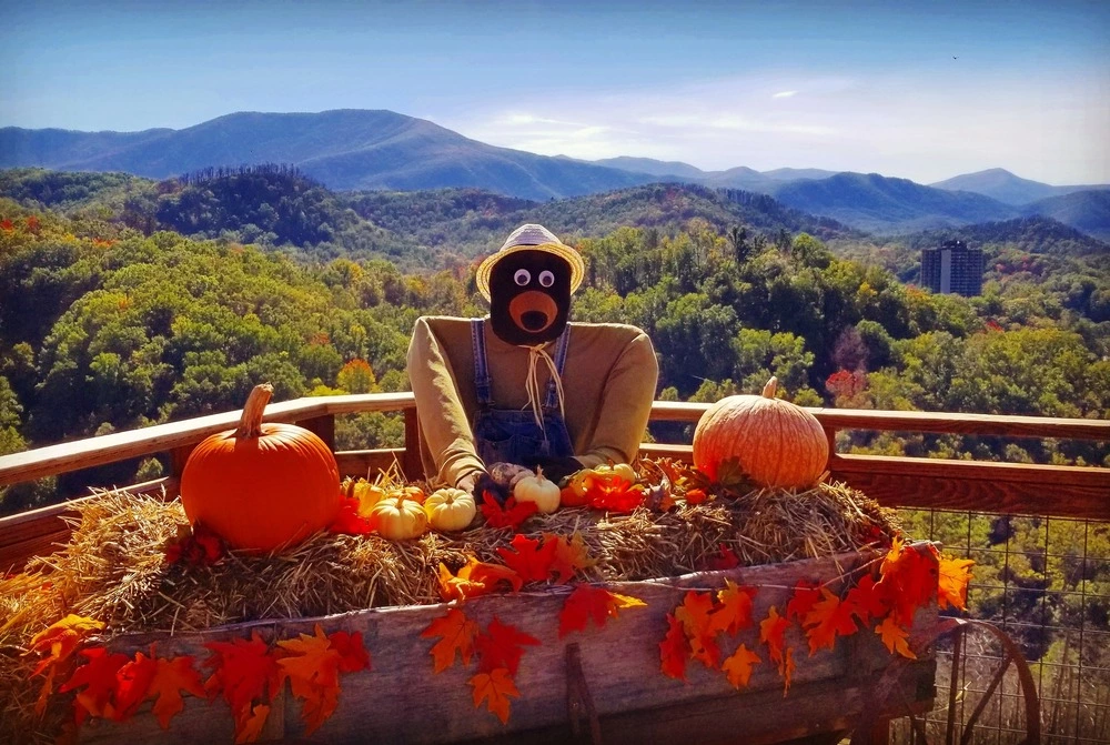 Anakeesta fall decor in front of mountain view