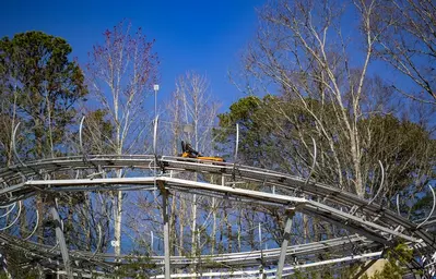 Rocky Top Mountain Coaster is one of the top outdoor attractions in pigeon forge