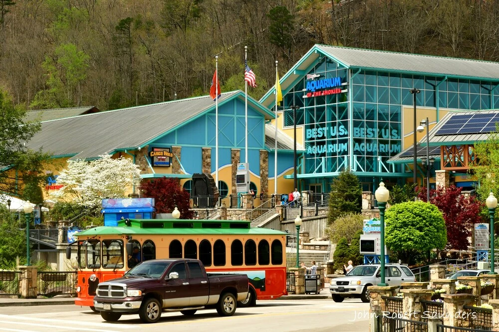 Ripley's Aquarium of the Smokies in Gatlinburg TN