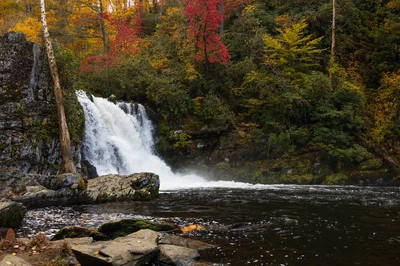 Abrams Falls