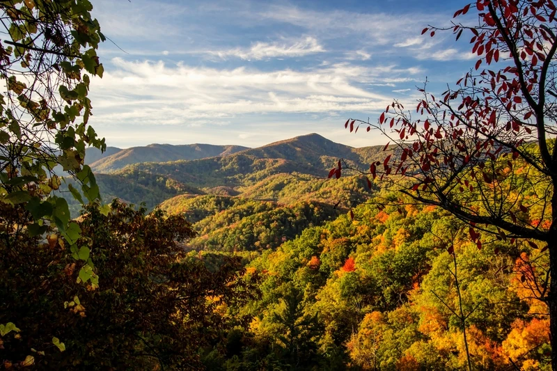Smokies fall