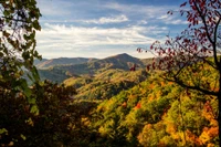 Smokies fall