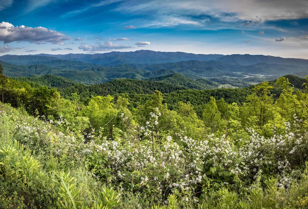 spring in the smoky mountains
