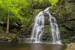 spruce flats falls in the smoky mountains