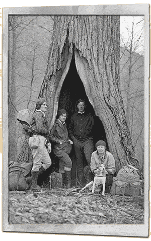 Chestnut Tree in Gatlinburg history
