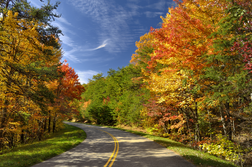 5 Best Places For Fall Colors in the Smoky Mountains